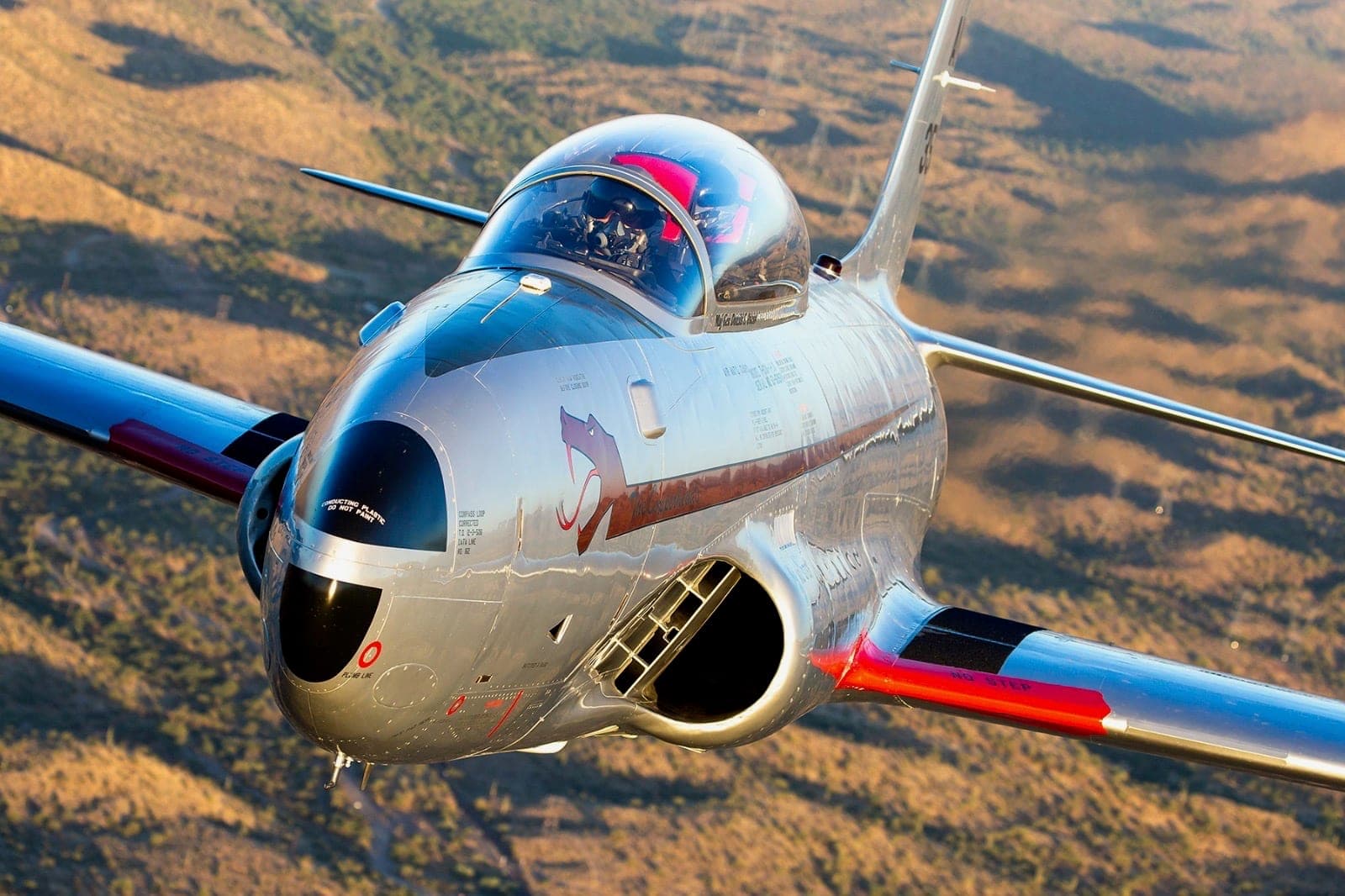 Close-up nose art of the T-33 showing the Copperhead snake painted on the polished aluminum fuselage.